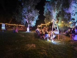 Eine Gruppe von Menschen sitzt nachts in Stühlen in einem Park. in der Unterkunft Chill Camp in Giewartów