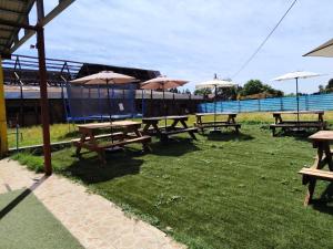 a group of picnic tables with umbrellas on the grass at Hospedaje Centro Huequén in Angol