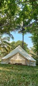 a white tent sitting on the grass in a field at Campo De Laiya in San Juan