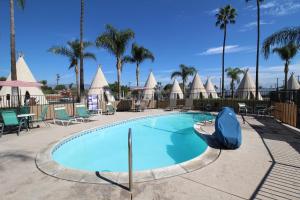 une grande piscine avec des chaises et des palmiers dans l'établissement Wigwam Motel, à San Bernardino