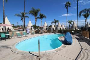 une grande piscine avec chaises et palmiers dans l'établissement Wigwam Motel, à San Bernardino