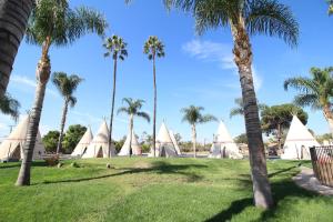 Jardin de l'établissement Wigwam Motel
