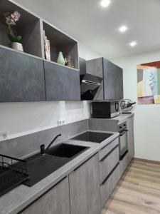a kitchen with a sink and a counter top at Kings Apartments in Ingolstadt