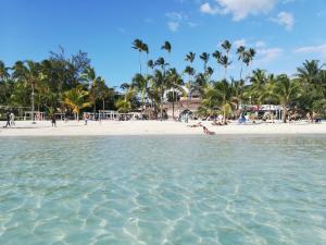 a beach with palm trees and people in the water at Oz Residence Beach Two-Bedroom Apartment & Free Parking in Los Botados
