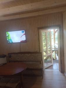 a living room with a couch and a tv at Горянка in Guta