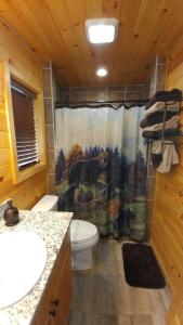 a bathroom with a toilet and a shower curtain at Little Bear Cabin in Banner Elk +26 photos