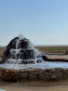 a water fountain in the middle of a field at Guest house in Aralʼsk