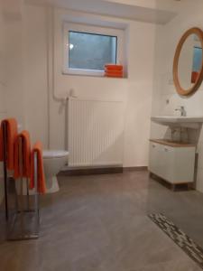 a bathroom with a sink and a toilet and a mirror at Traumwohnung in Feldrandlage in Rod am Berg