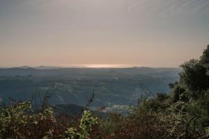 a view of a valley from the top of a hill at Off-Grid Tiny Home Pacific Views & Serenity in Pauma Valley +21 photos
