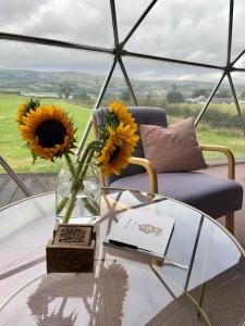 a glass table with a vase of sunflowers on top of a room at The Dome at Midauchengowan in Lochwinnoch +2 photos