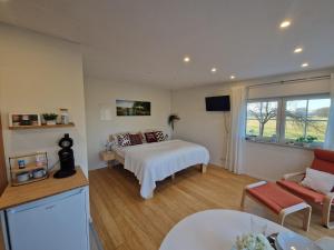 a bedroom with a bed and a couch and a table at Ferienwohnung Weitblick Wiese in Neusitz