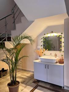 a bathroom with a sink and a potted plant at Ayu Aanandam - Live I Heal I Rest in Rishīkesh +48 photos