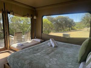 a bedroom with a bed and a large window at Pebble Point in Princetown +14 photos