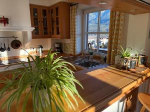 a kitchen with a sink and a plant on a counter at Apartment Sonnenhang in Wallgau