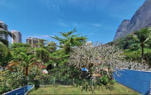 a view of a mountain with trees and palm trees at Casa Caminho do Meio in Rio de Janeiro
