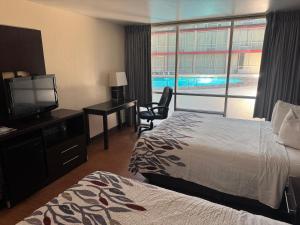 a hotel room with a bed and a television and a pool at Lubbock Regency Inn in Lubbock