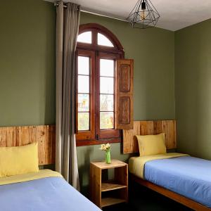 two beds in a room with green walls and a window at Econunay Hostels in Arequipa