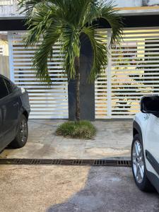 a palm tree sitting in front of a garage at Apartamento Estúdio in Macapá