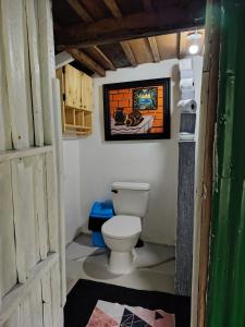 a bathroom with a toilet and a painting on the wall at Cabins river blue in Rio Celeste +21 photos