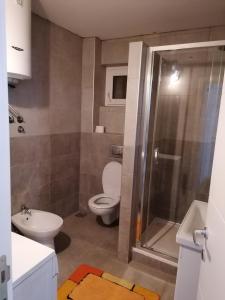 a bathroom with a toilet and a sink and a shower at Centro apartman 3 in Pančevo