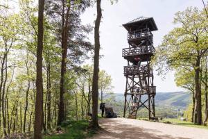 a tree house on a dirt road in the woods at Au Beau Rivage in Trois-Ponts