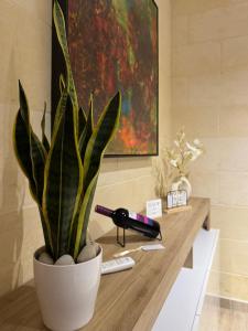 a plant in a white pot sitting on a desk at Dar il-Wied in Għajn il-Kbira
