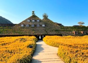 a house with a grass roof in a field of flowers at 日牟禮乃宿 日牟禮八幡宮徒歩4分ラコリーナ車4分 in Omihachiman +5 photos