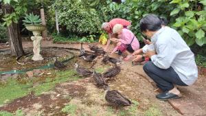 a group of people playing with birds in a yard at Adamsons Riverside in Margaret River Town
