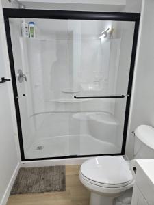 a bathroom with a shower with a toilet and a sink at Cozy 1-Bedroom Private Basement Suite in Winnipeg with separate entrance in Winnipeg
