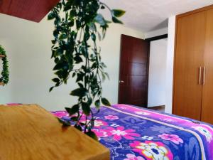 a plant in a room with a couch and a table at La Casa de Lu cerca de Volcanic park in San Martín Ojo de Agua +9 photos