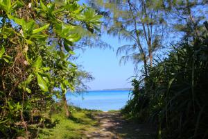 a path through trees with a view of the ocean at Grand Bleu Gamin in Miyako-jima