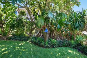 a blue fire hydrant in the middle of a yard at Beach House in Lennox Head +3 photos