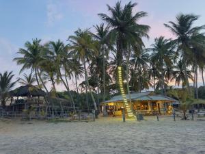 a group of palm trees on a sandy beach at Upali Beach Surf Resort in Nikawatawana