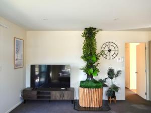 a living room with a plant on the wall at Twin Stars in Lake Tekapo