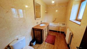 a bathroom with a sink and a toilet and a tub at Maison des bois in Château-Chervix +21 photos