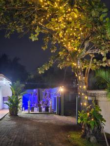 a tree with christmas lights on it in a yard at GMW Sanduni hotel & villa in Matara
