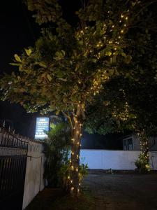 a tree with christmas lights on it at GMW Sanduni hotel & villa in Matara +1 photo