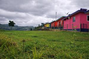 a pink building in a field next to a field of grass at The Bowers Chalet Private Campfire & Lawn BBQ, WIFI, Breakfast Hill Top 360 degree view in Ooty