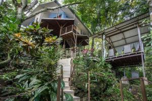 a house in the jungle with stairs leading up to it at Hotel Casa del Arbol Manuel Antonio - Adults Only in Manuel Antonio