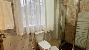 a bathroom with a toilet and a shower at Iwandaa Apartments in Nkoanrua +19 photos
