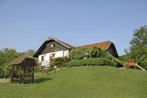 Tourist Farm Ferencovi في Cankova: منزل على تلة عشبية مع شرفة