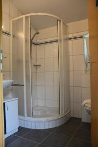 a bathroom with a shower and a toilet at Ferienwohnung Davenna in Vandans