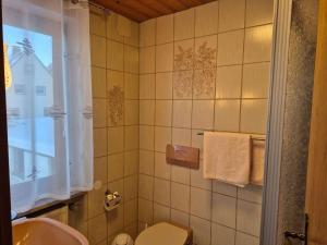 a bathroom with a toilet and a sink at Gasthof Siebenstern in Röslau +32 photos