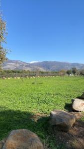 a field with three rocks in the grass at Rivers view in kibbutz Dafna in Dafna