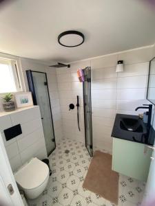 a bathroom with a toilet and a sink at Rivers view in kibbutz Dafna in Dafna +25 photos
