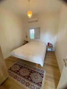 a bedroom with a bed and a window and a rug at Rivers view in kibbutz Dafna in Dafna