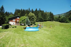 a group of people in a yard with a pool in the grass at Myslivna in Černý Dŭl