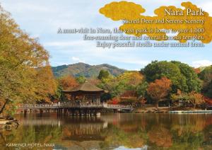a park in the middle of a lake with a gazebo at KAMENOI HOTEL Nara in Nara
