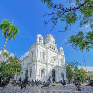 a flock of pigeons standing in front of a building at Hotel Tariq Monteria in Montería