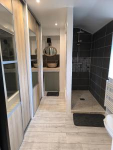 a bathroom with a shower and a toilet and a sink at PlageCab' in Cabourg +6 photos